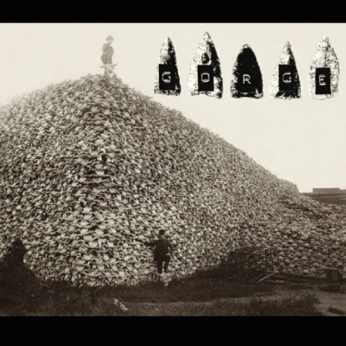 Gorge : Buffalo Hump